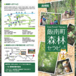 飯南町森林セラピー